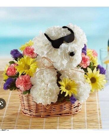 Cool Pup Flower Arrangement