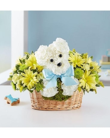 IT’S A-DOG-ABLE BOY Flower Arrangement