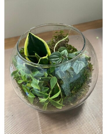 Mini Terrarium Flower Arrangement