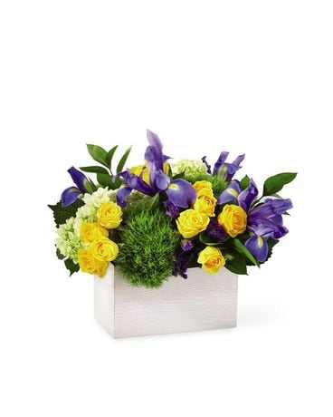FIELD OF IRIS Flower Arrangement