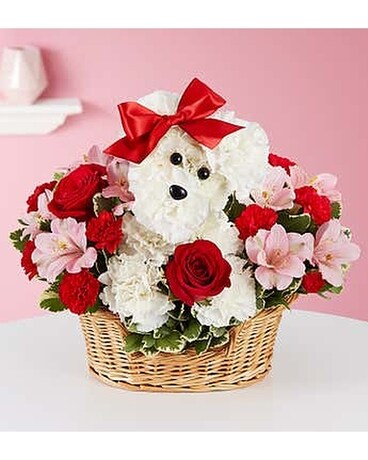 Love Pup Flower Arrangement
