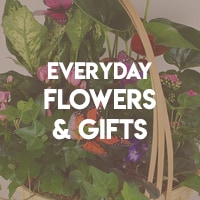 Everyday Flowers and Gifts