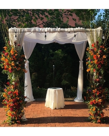 Sunset Canopy