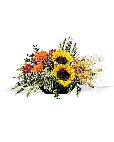 Harvest Basket Custom product