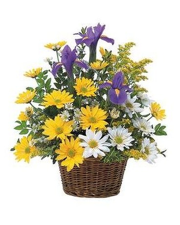 Iris and Daisy basket Custom product