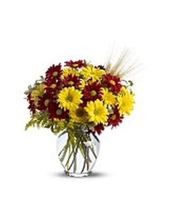 Fall for Daisies Flower Arrangement