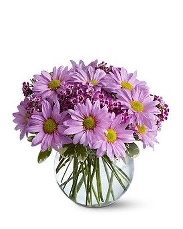 Delightfully Daisy - by Rhodee's Floral & Greenhou Flower Arrangement