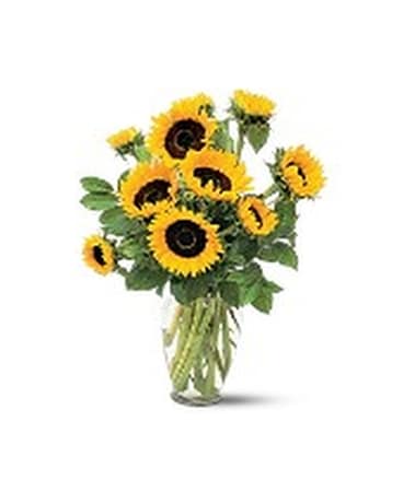 Shining Sunflower Flower Arrangement