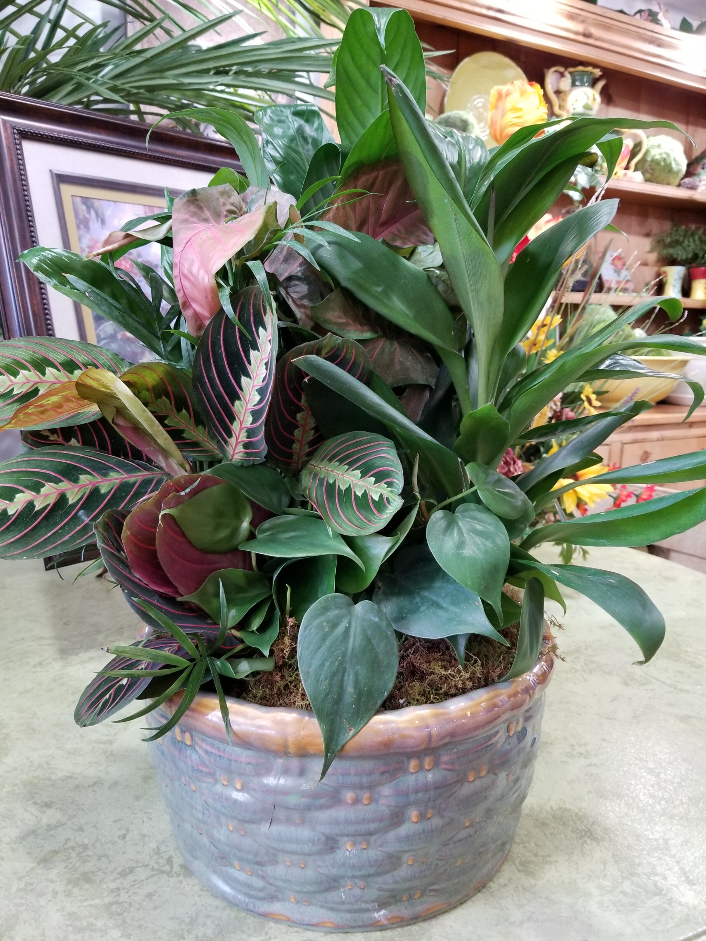 Dishgarden in Ceramic Container