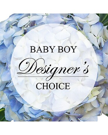 Designer's Choice - New Baby Boy Flower Arrangement