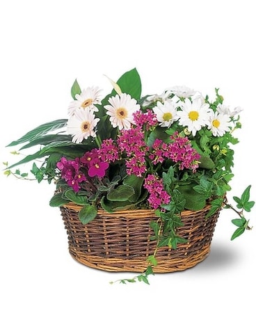 Traditional European Garden Basket