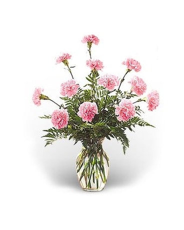 Dozen Pink Carnations Flower Arrangement