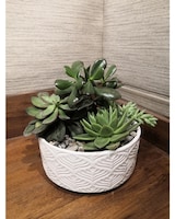 Standard size, 10 inches height and 9.5 inches wide.