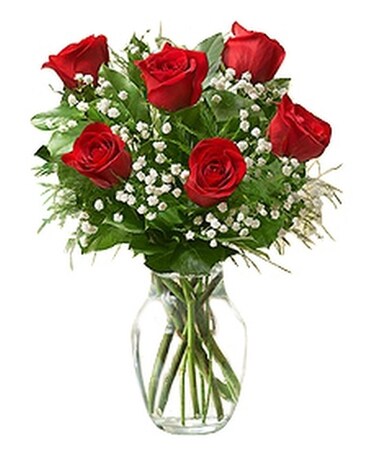 6 Red Roses Arranged Flower Arrangement