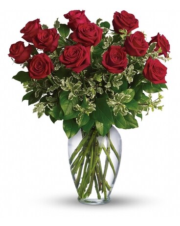 Dozen Roses Flower Arrangement