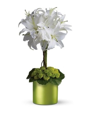 White Lily Topiary Flower Arrangement