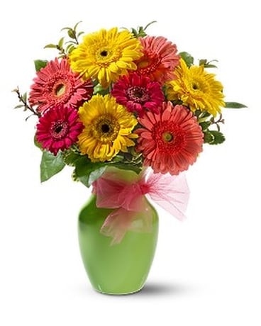 A big, cheerful bouquet of dazzling daisies in a b Flower Arrangement