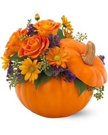 Teleflora's Pumpkin Patch Bouquet Flower Arrangement