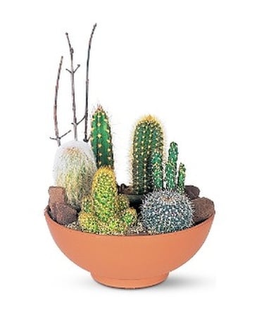 Cactus Garden Flower Arrangement