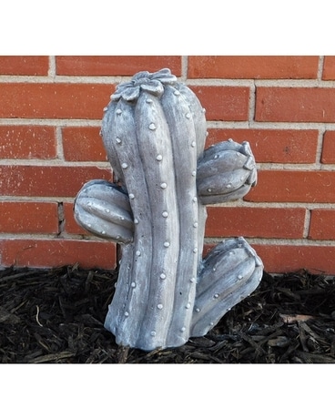 Concrete Cactus Gifts
