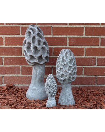 Concrete Mushroom Set Gifts