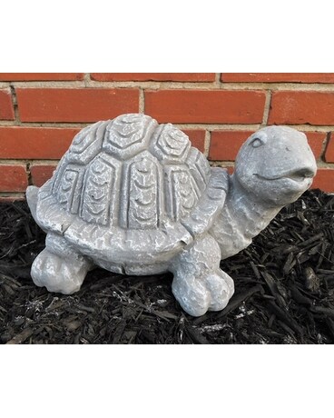 Concrete Turtle Gifts