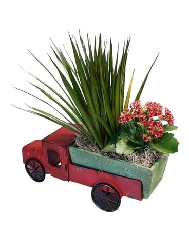 Metal Truck with Plants Plant