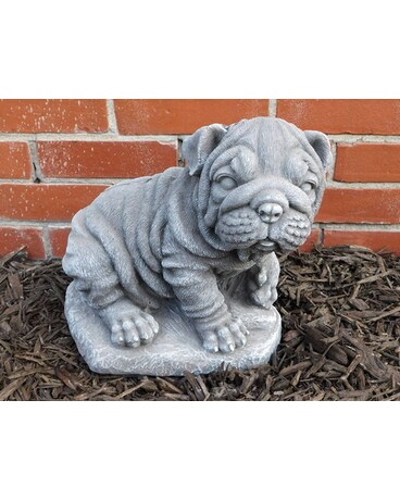 Concrete Wrinkled Puppy Gifts