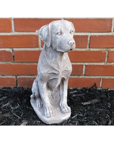 Concrete Lab Sitting Gifts
