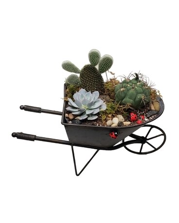 Standard size, 8.5 inches height and 13 inches wide.