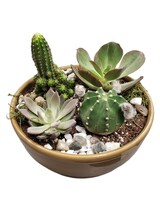 Standard size,  inches height and 9 inches wide.