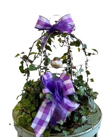 Bird Cage Topiary Plant