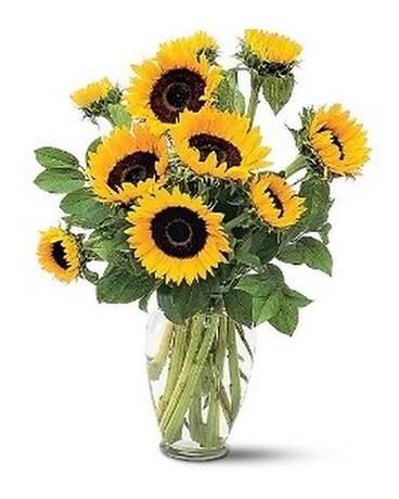 Shining Sunflowers Flower Arrangement