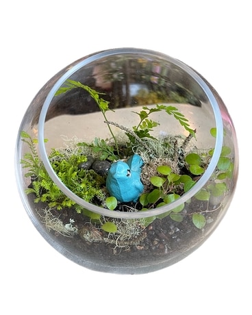 'Tweet Terrarium Plant