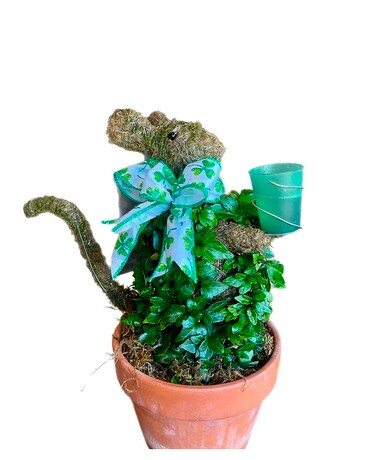 Finnegan Mouse Plant