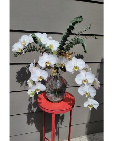 Blissful Orchids Flower Arrangement