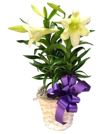 Easter Lily Custom product