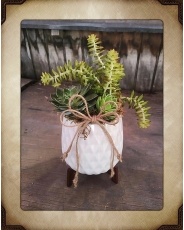 Modern Garden Flower Arrangement