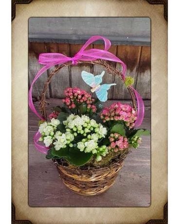 Colorful Kalanchoe Flower Arrangement
