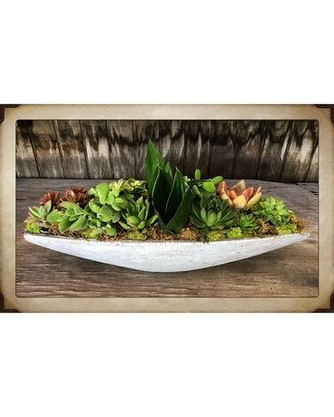 Sentimental Succulents Flower Arrangement
