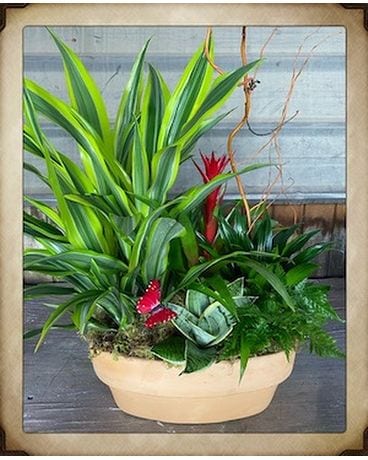 cherished garden Flower Arrangement