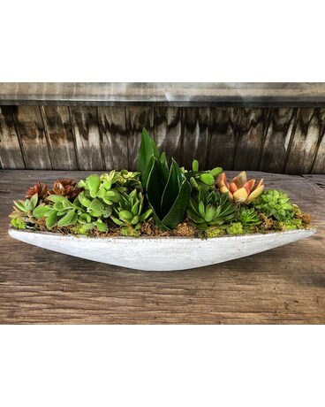 Sentimental Succulents Flower Arrangement