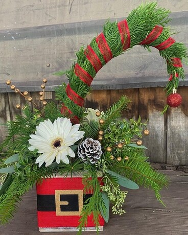 Merry Grinchmas Plant