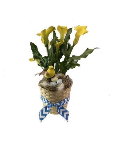 Calla Lily for Easter Flower Arrangement