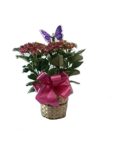 Hydrangea with Garden Pick Flower Arrangement