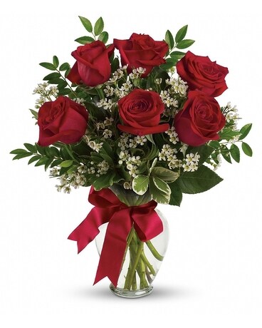 Half Dozen Red Roses Flower Arrangement