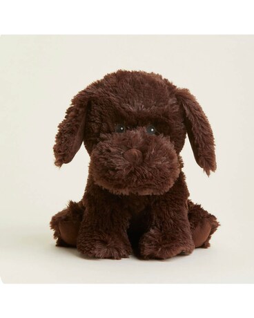 Chocolate Lab Gifts