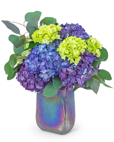 Hydrangea4937　0806 18