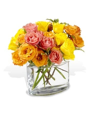 Teleflora's Rose Sorbet Flower Arrangement