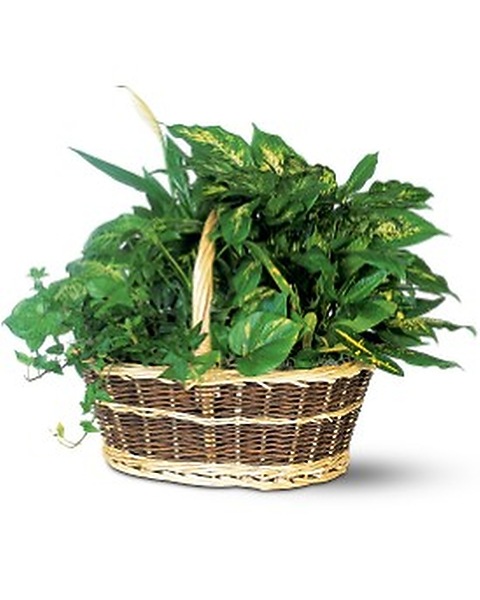 10 inch planter indoor Self-Watering Tall Square Pot System for Indoor Plants (Set of 3) main image 1